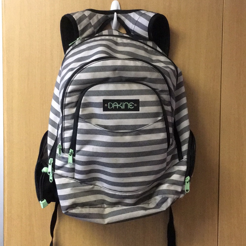 DAKINE backpack gray and white stripe with green